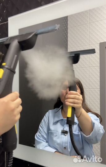 Аренда моющего пылесоса karcher