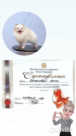 Ищу моделей на груминг