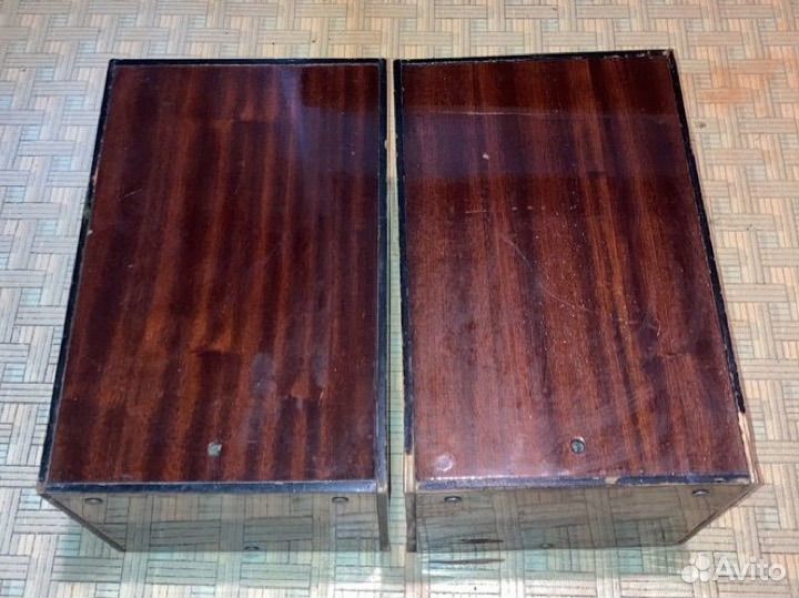 Акустические колонки СССР 10 мас под реставрацию