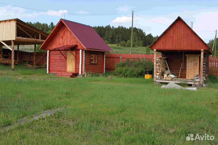 Организация охоты