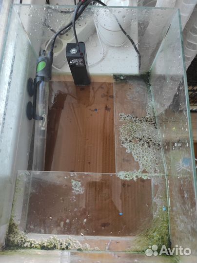 Террариум для красноухой черепахи