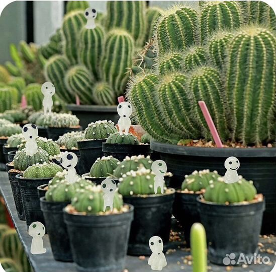 Светящиеся духи