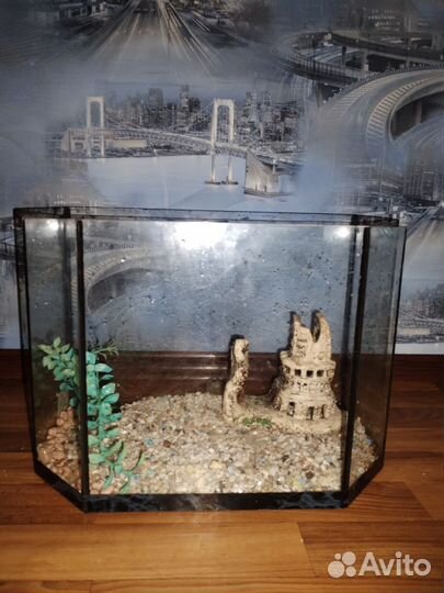Аквариум