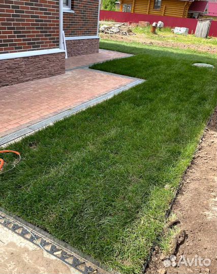 Рулонный газон