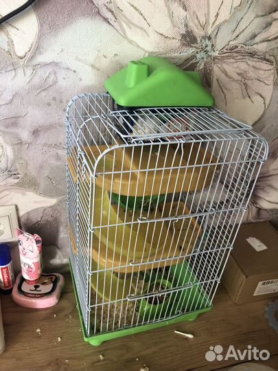 Продам хомяка с клеткой