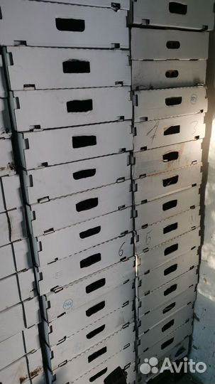 Евротара для помидор