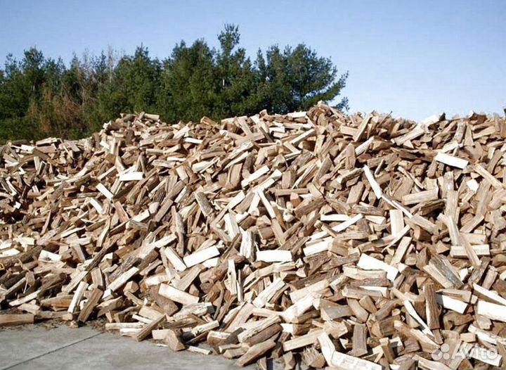 Дрова опт