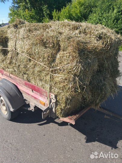 Сено в брикетах