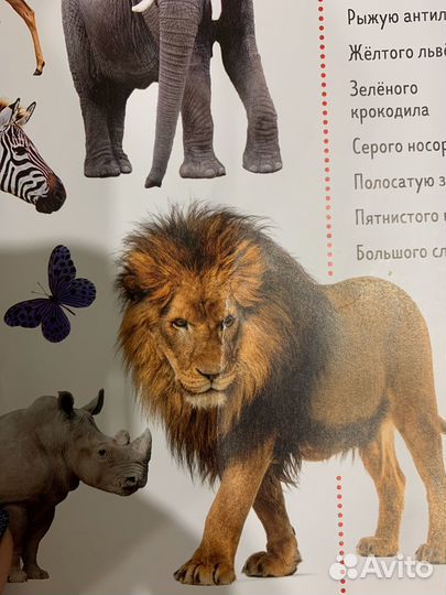 Книги детские Clever