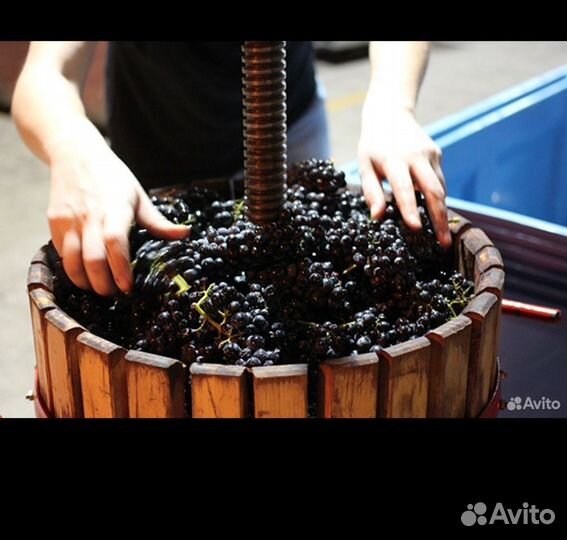 Домашние винное сусло