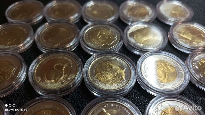 Турция. Красная книга. 1 лира