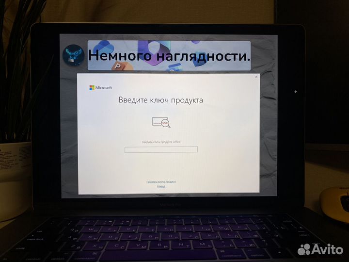 Microsoft Office 2016 2019 2021 pro plus 365
