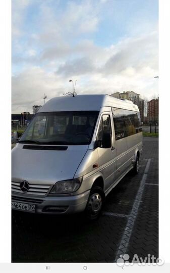 Аренда (заказ) автобусов, микроавтобусов