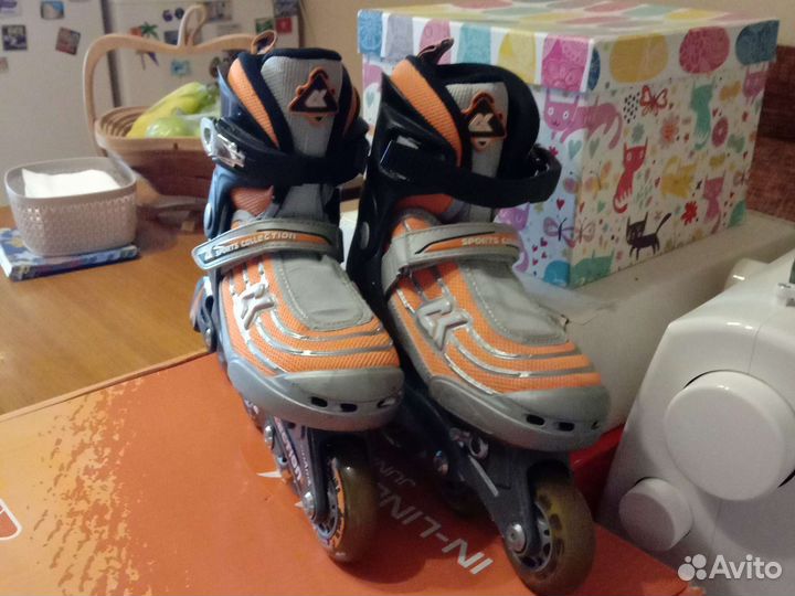 Роликовые коньки раздвижные Shark