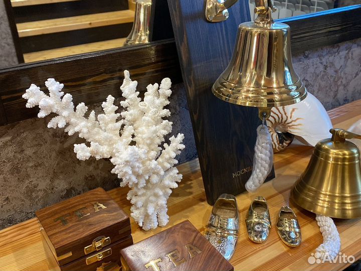 Ракушки Коллекционные Кораллы Рынды Штурвалы и др