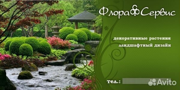 Продавец консультант