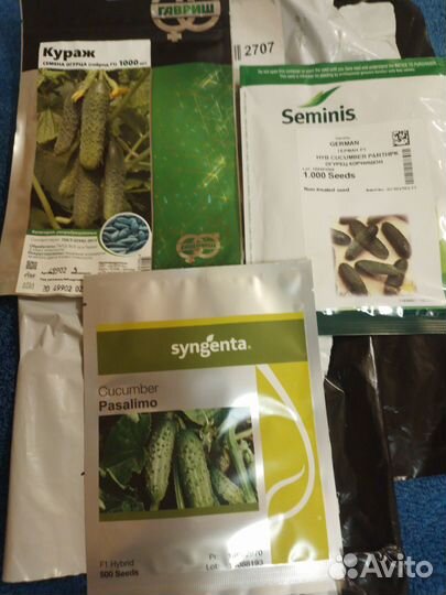 Рассада, огурцов, Герман, кураж, пасалимо, фирмен