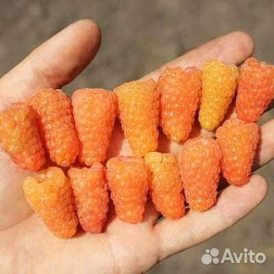 Желтая малина со вкусом банана