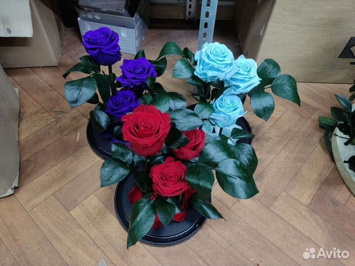 Роза в колбе оптом и в розницу