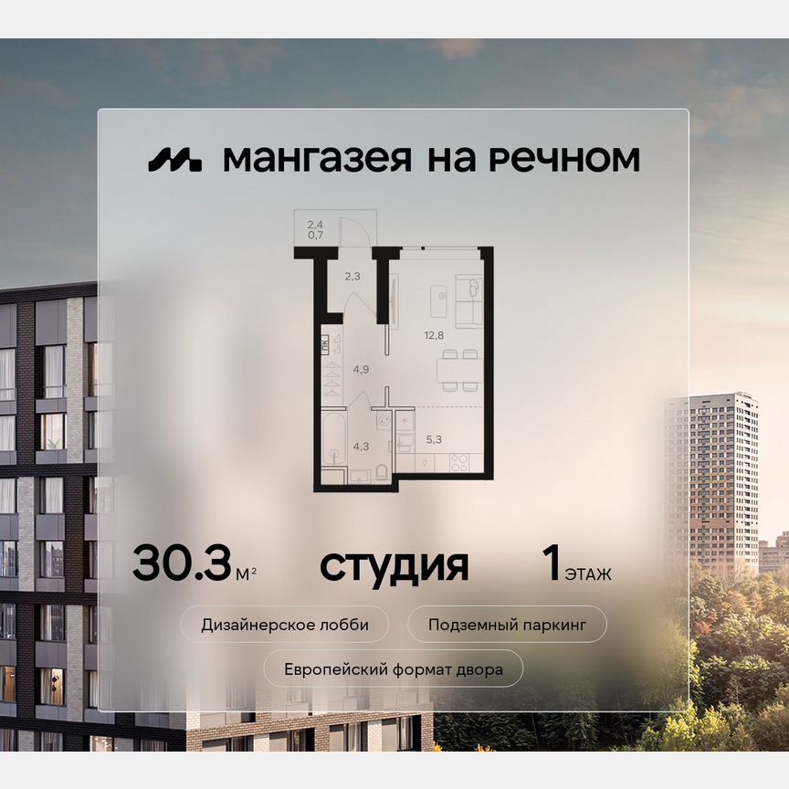 Квартира-студия, 30,3 м², 1/12 эт.
