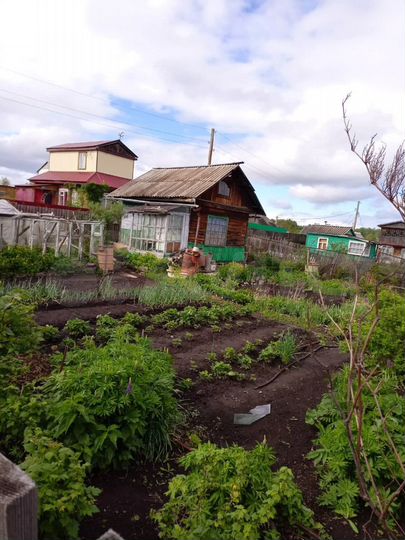 Участок 4 сот. (СНТ, ДНП)