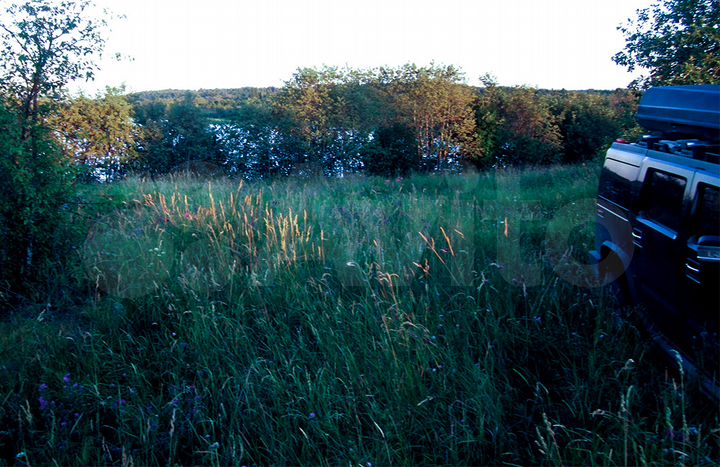 Участок 100 сот. (ИЖС)