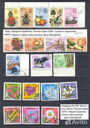 Флора и Фауна