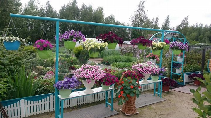 Дача 30 м² на участке 6 сот.