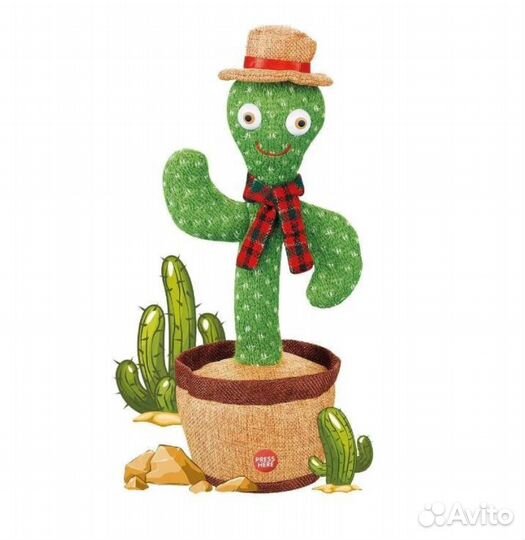 Танцующий кактус