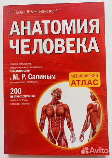 Анатомия человека