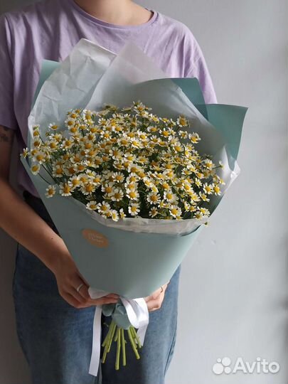 Букет из ромашек матрикария 9 веточек