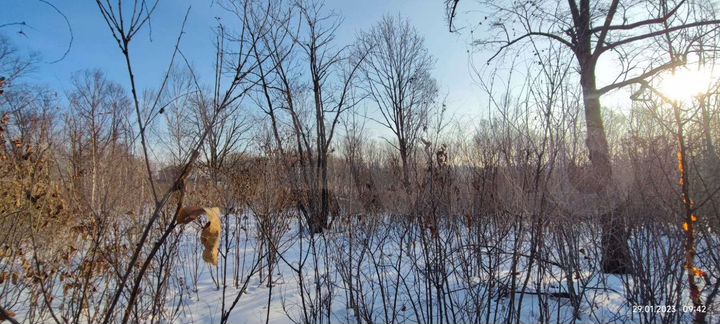 Участок 10 сот. (СНТ, ДНП)