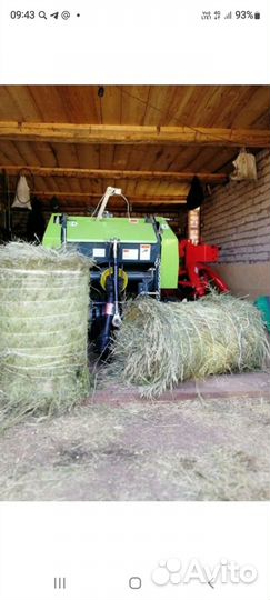 Продам сено в рулонах