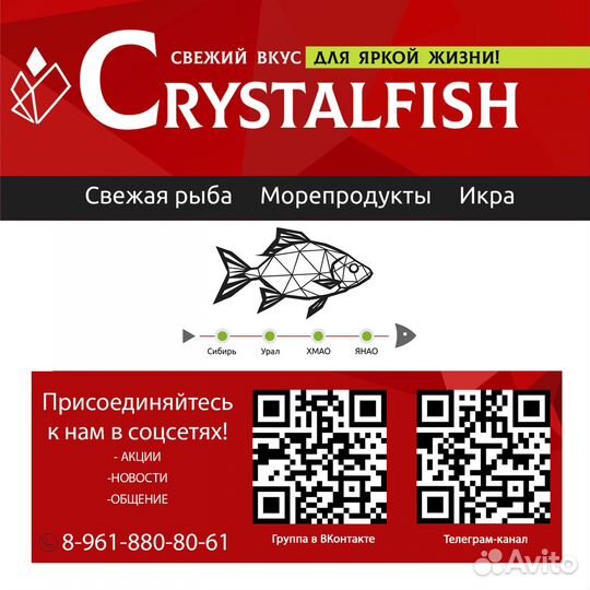 Манго свежемороженое