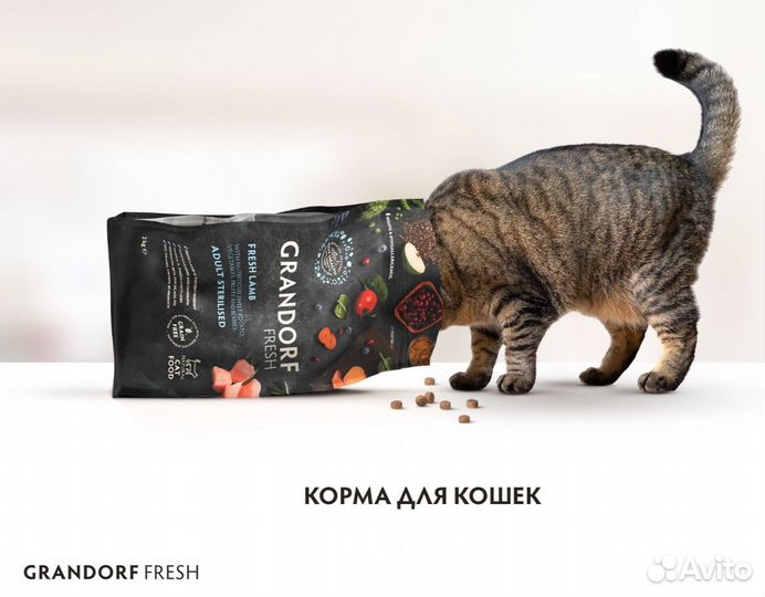 Сухой корм Grandorf Fresh для кошек