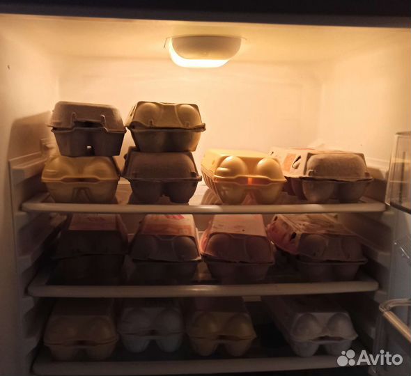 Домашние куриные яйца