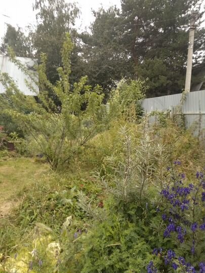 Дача 30 м² на участке 6,3 сот.