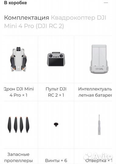 Квадрокоптер DJI Mini 4 Pro (DJI RC 2)