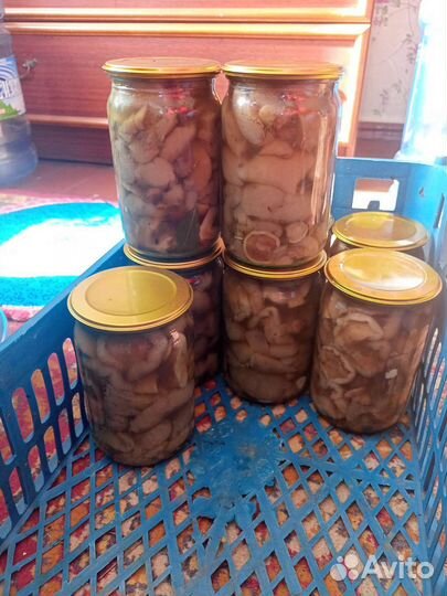 Грибы маринованные