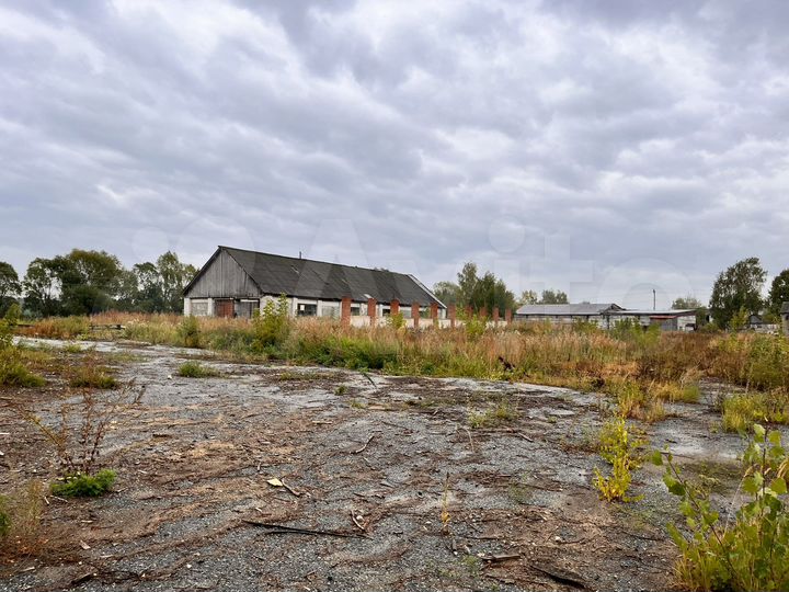 Участок 131,13 га (промназначения)