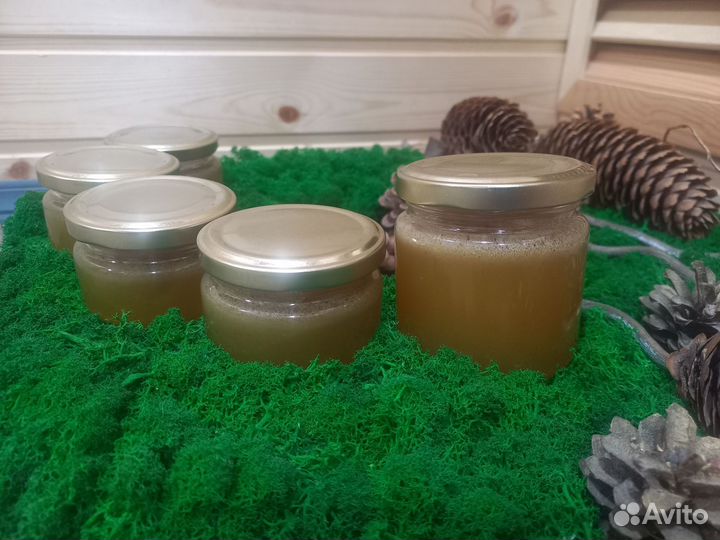 Живица пихтовая