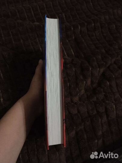 Книга «Драконья сага», 4-ая часть