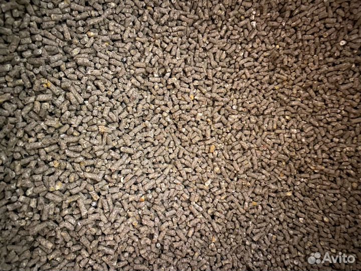 Комбикорм Премиум для молодняка с/х птицы