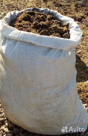 Конский чистый навоз