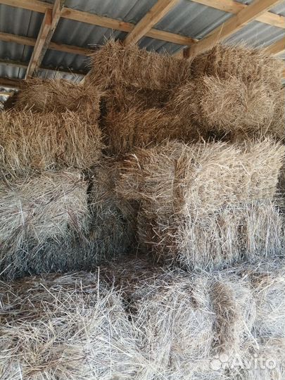 Сено в тюках