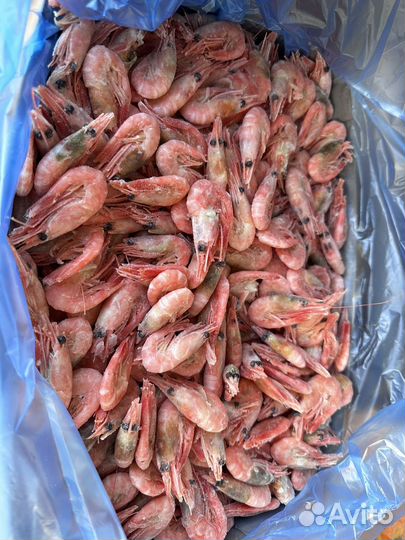 Креветка 90/120 Мурманск