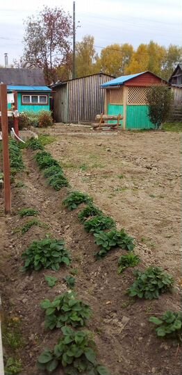 Дом 38 м² на участке 9 сот.