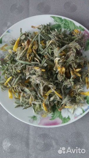 Полынь горькая