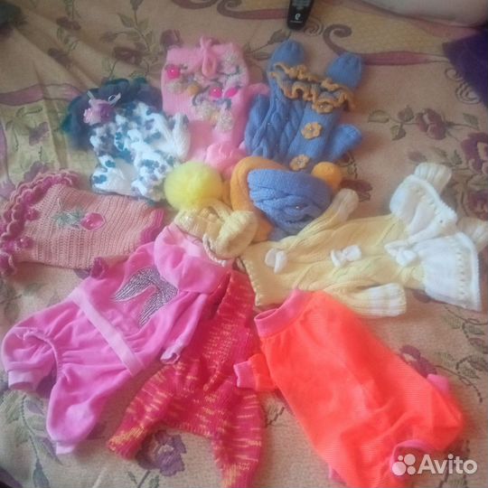 Одежда для маленькой собачки. Новое