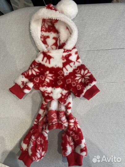 Одежда для собак мелких пород